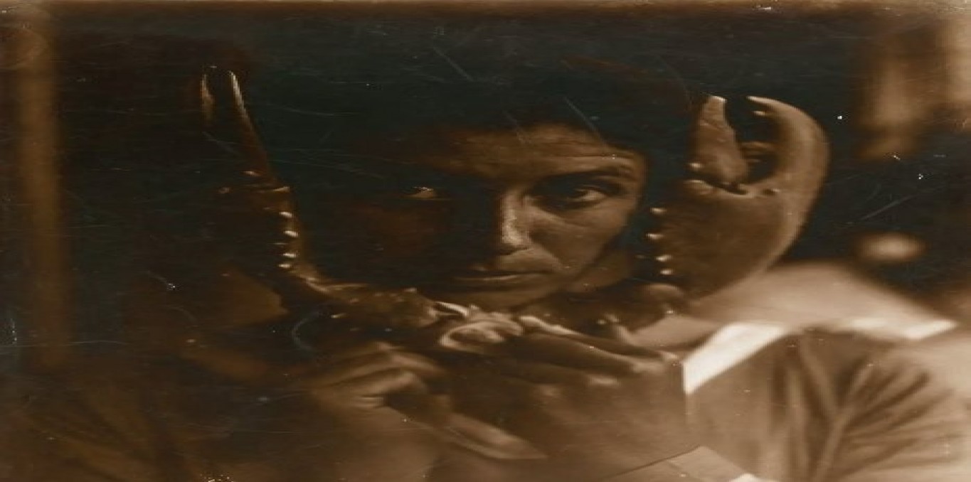 Image de couverture Genevi&egrave;ve Hamon