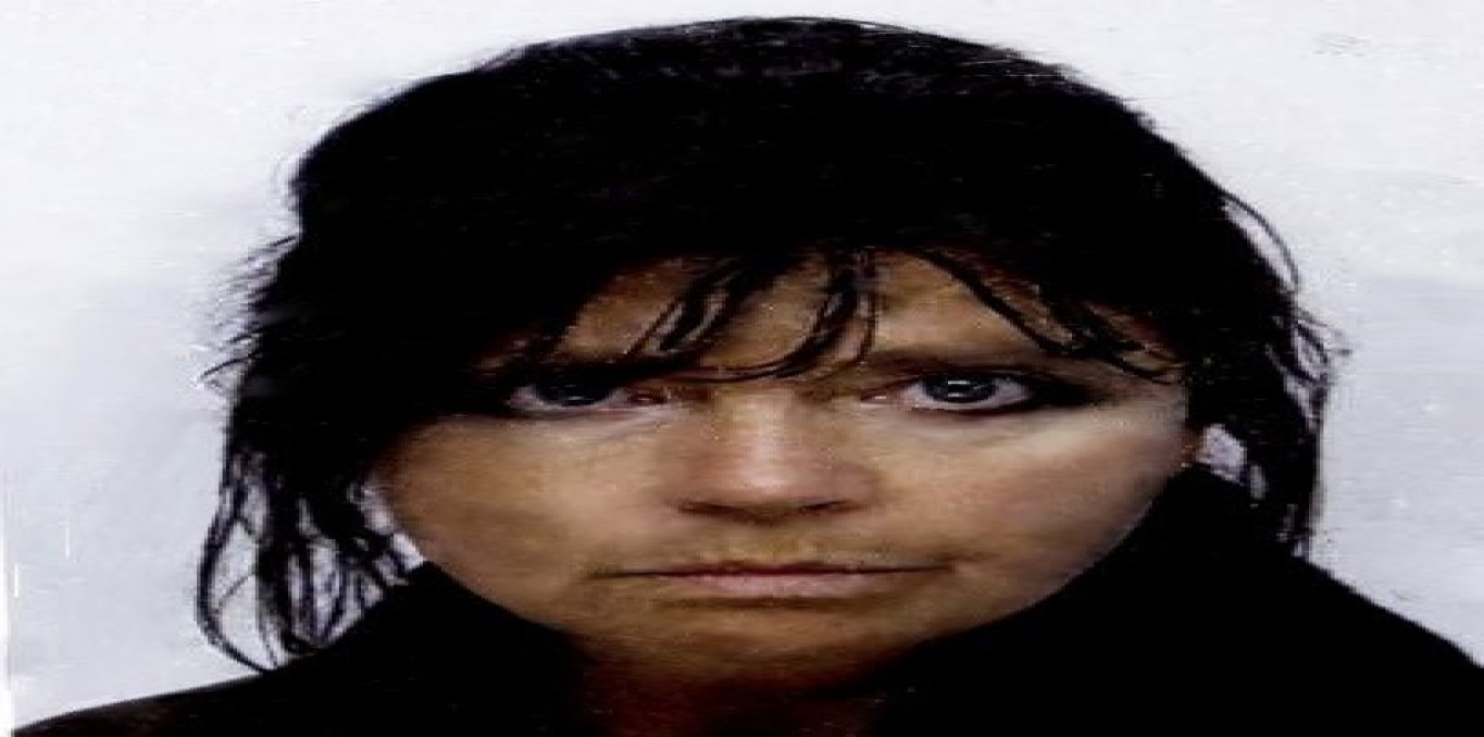 Poster image Françoise Dasques