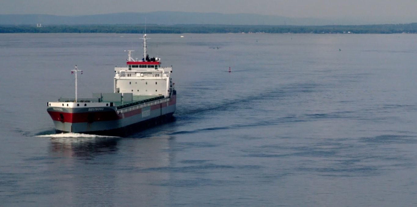 Ces hommes de passage