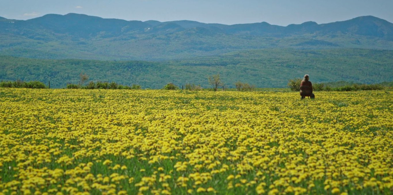 La fille du crat&egrave;re