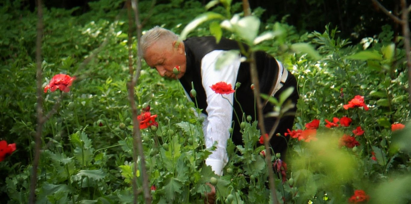 Le cosaque et la gitane