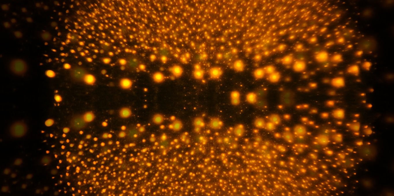 Couverture du film Atomes en quête d'immatérialité