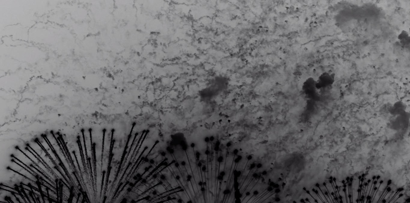 Couverture du film Nitrate