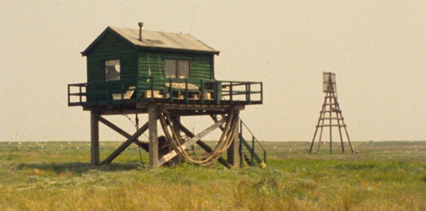 Couverture du film La Jungle plate