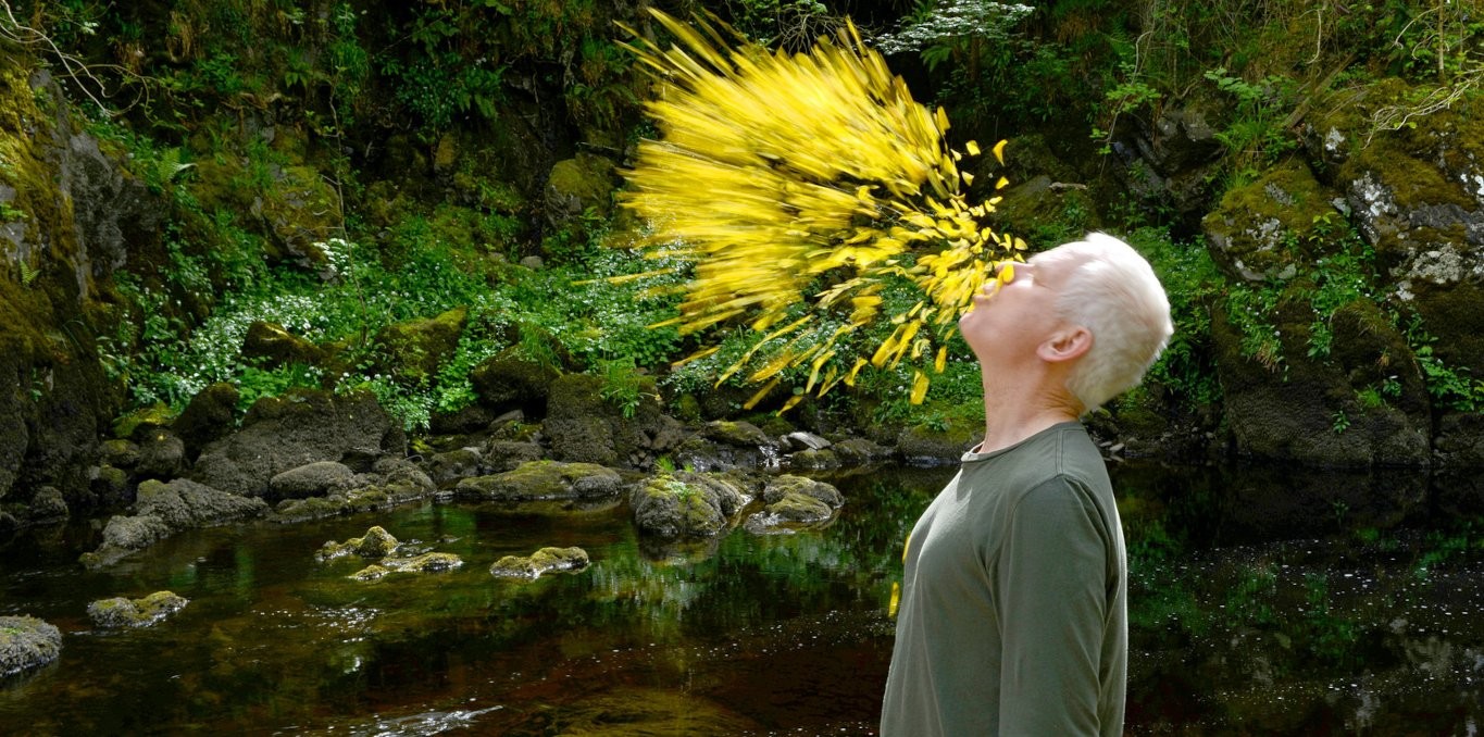 Couverture du film Penché dans le vent – Andy Goldsworthy