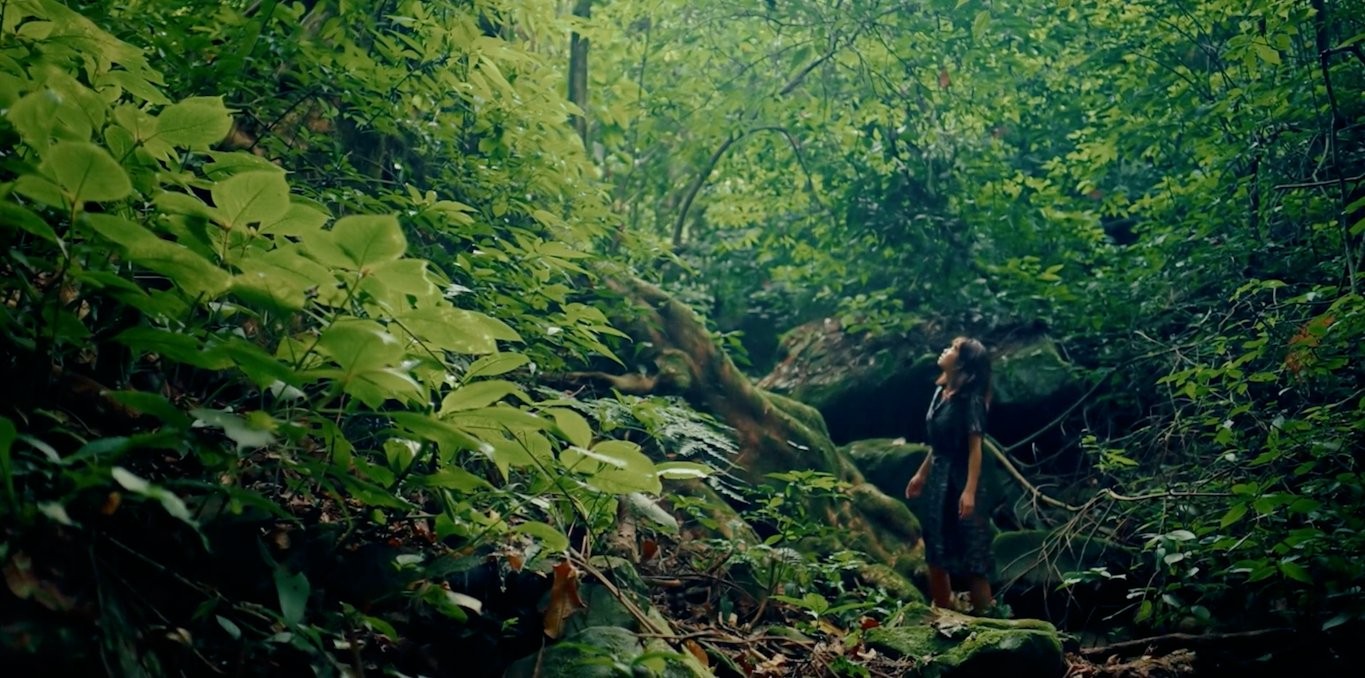 Cover of the film The Woodland Threshold