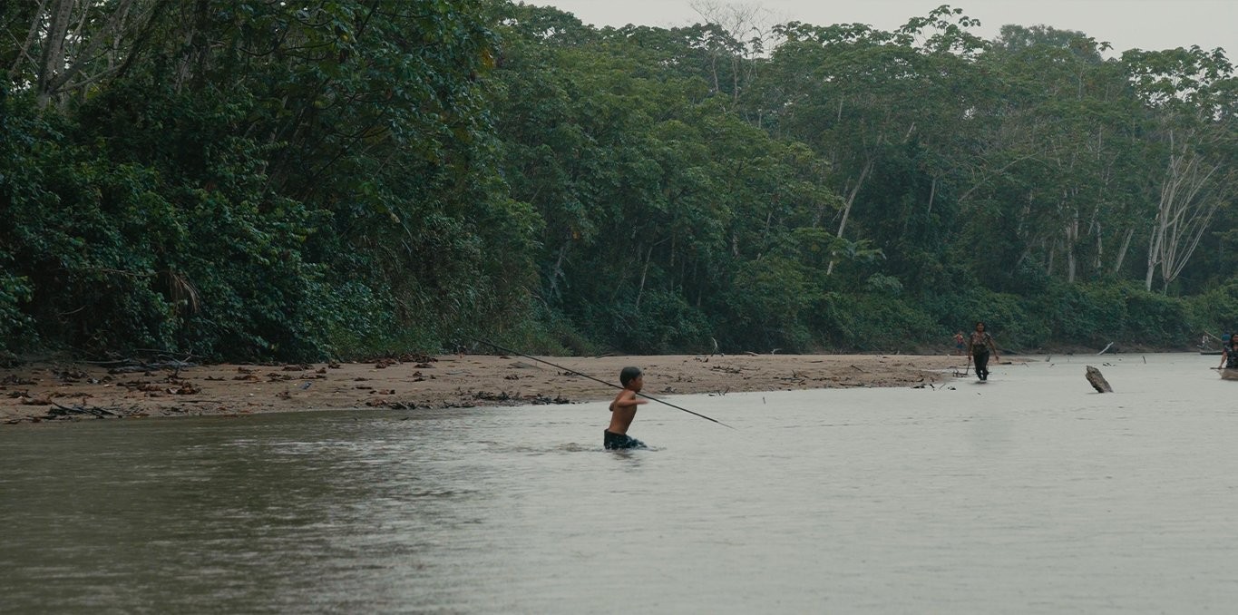 Couverture du film Toroboro: El nombre de las plantas
