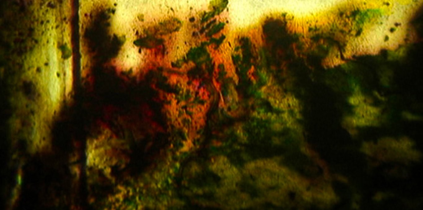 Couverture du film Jours en fleurs