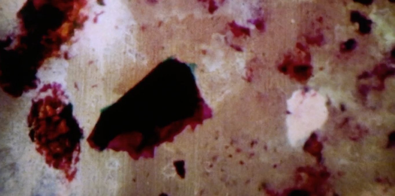 Couverture du film L'éclat du mal / The Bleeding Heart of It