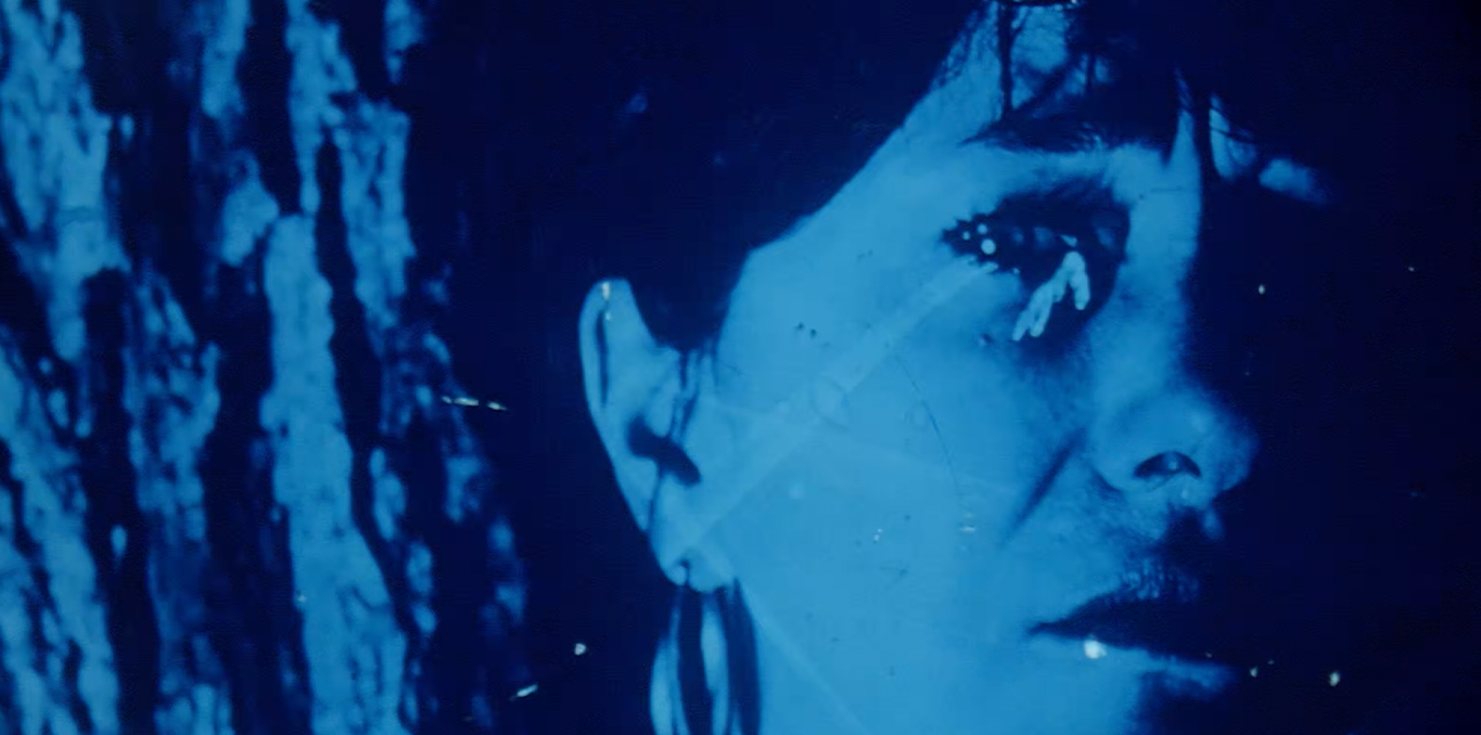 Auto Portrait / Self Portrait Post Partum