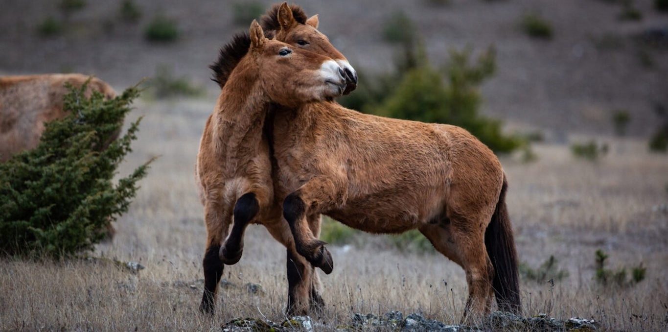 Vivant parmi les vivants