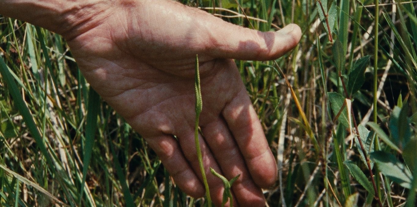 Couverture du film Sept promenades avec Mark Brown