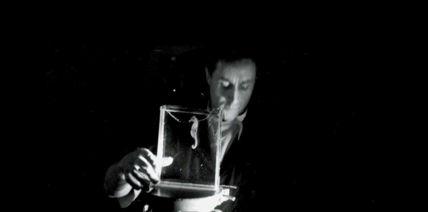 Jean Painlev&eacute;, fantaisie pour biologie marine