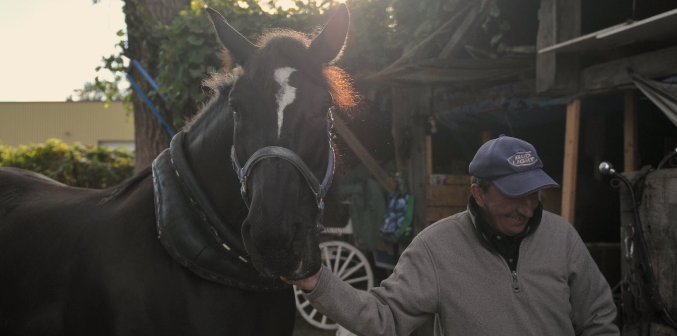 Couverture du film Le Horse Palace