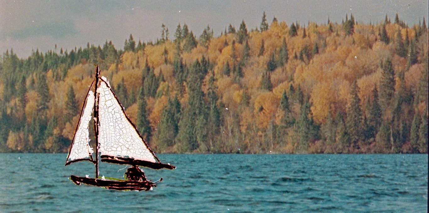 Couverture du film La dissolution du paysage