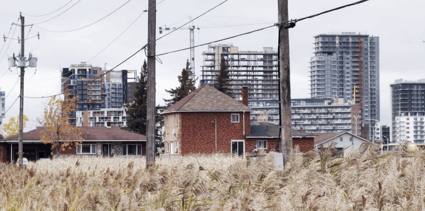 Where the Grass is greener