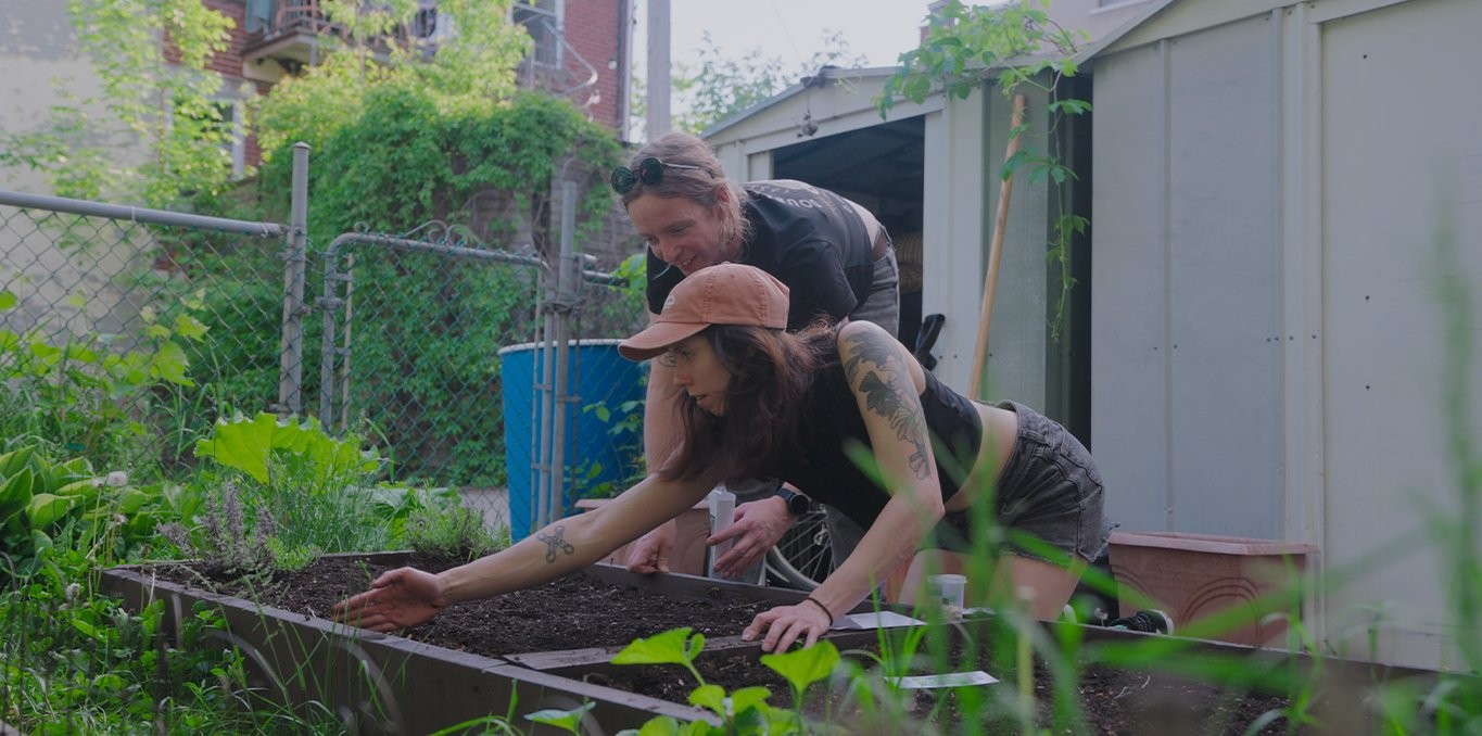 Couverture du film Leçon de notre jardin
