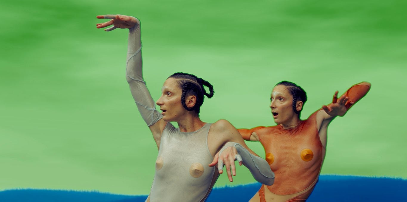 Couverture du film ElleX / ElleY