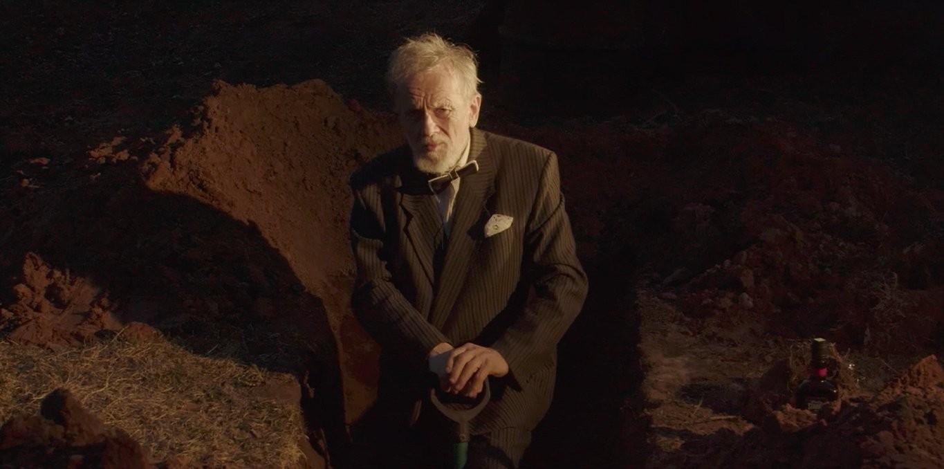 Couverture du film The Observer