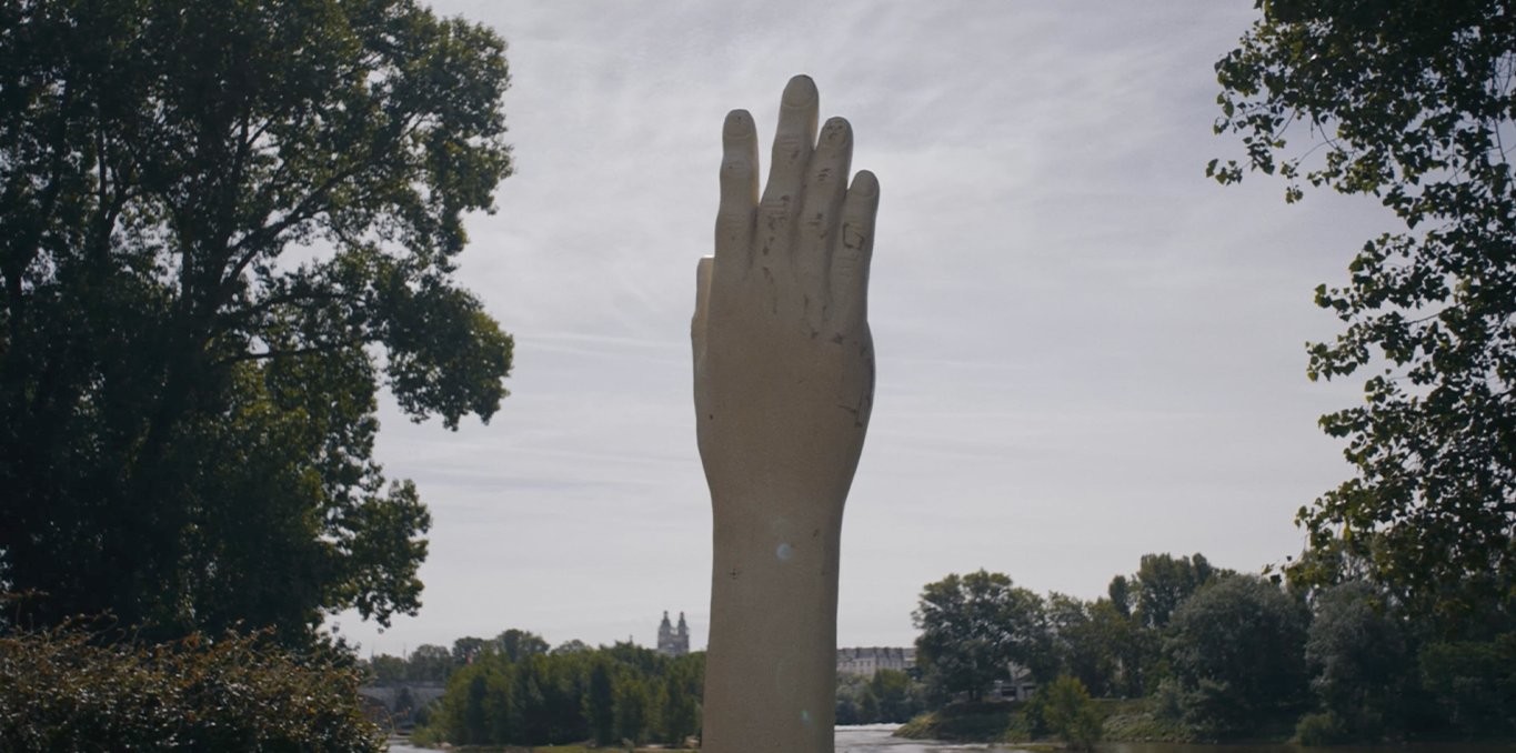 Couverture du film Espèces pionnières