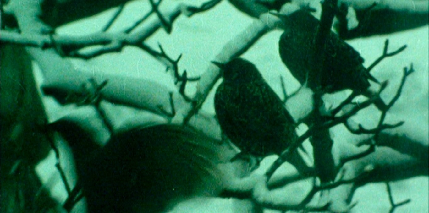 Aerial