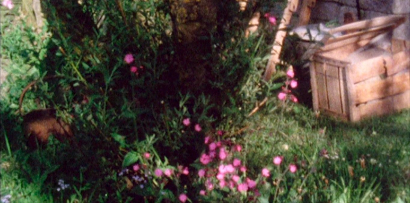 Garden Pieces