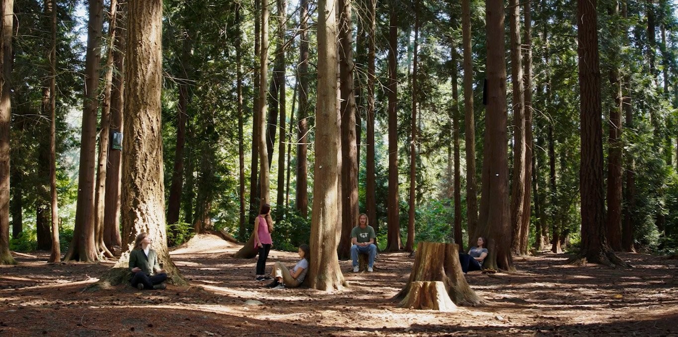 For&ecirc;ts urbaines