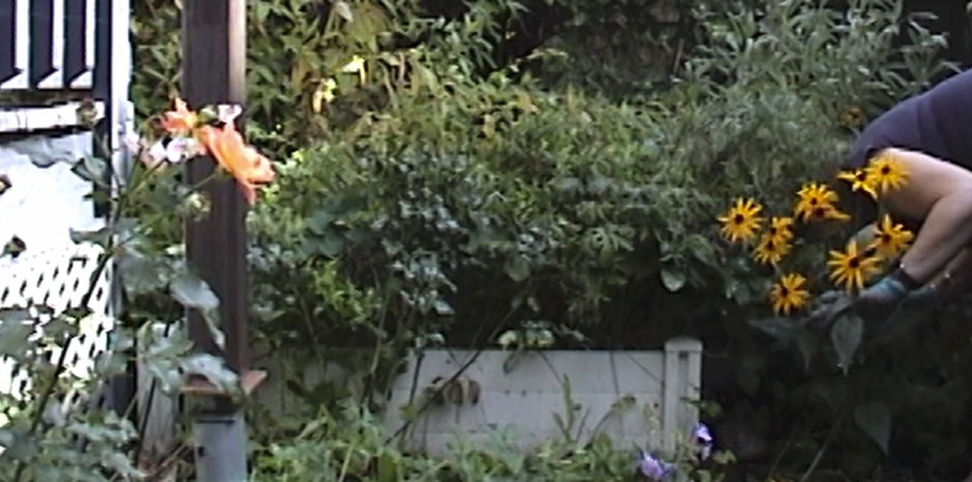 In My Mother's Garden