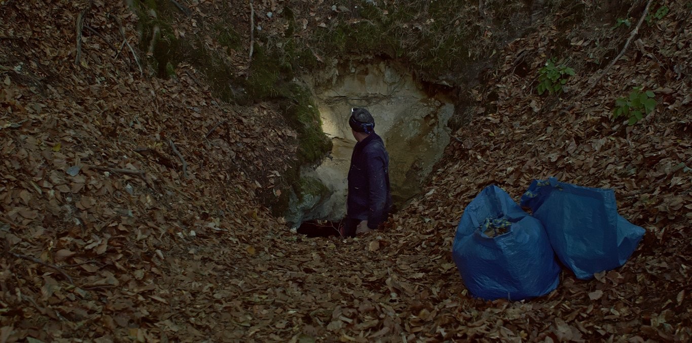 Bedrock